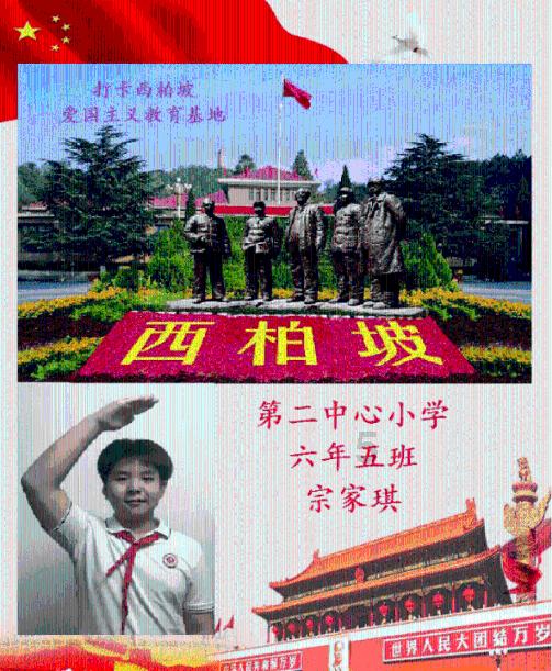 热带假日